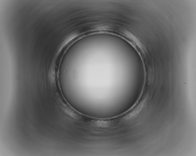 X0000112210827200908071452