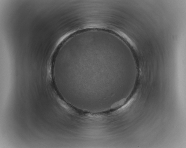 X0000112210830200908071452