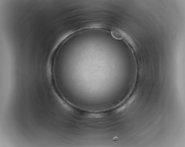 X0000112210835200908071452