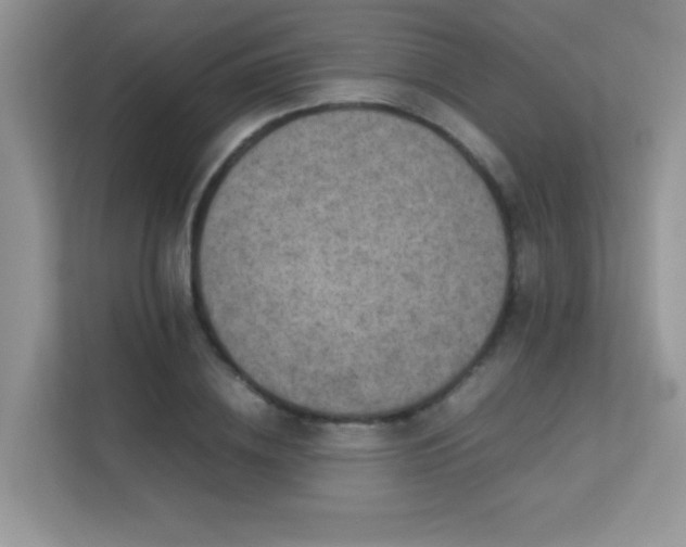 X0000112210836200908071452