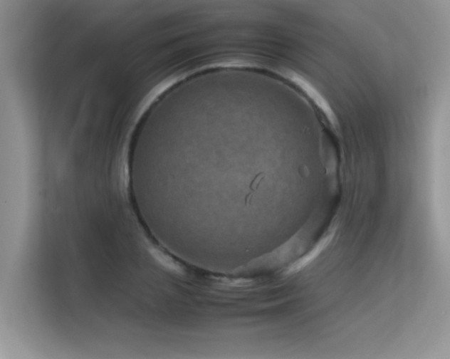 X0000112210837200908071452