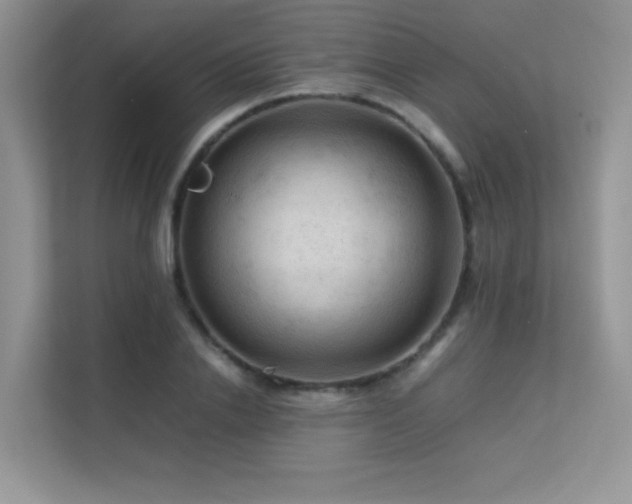 X0000112210838200908071452