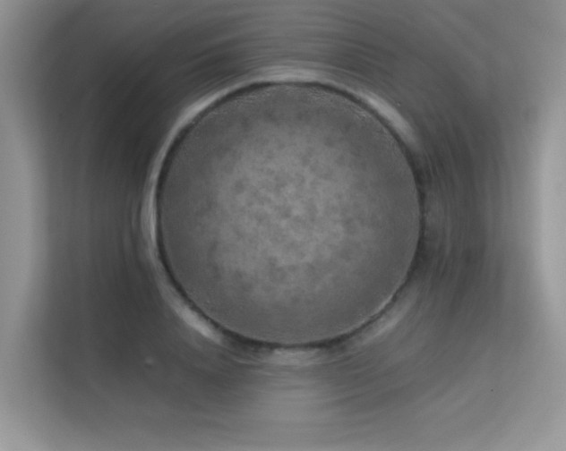 X0000112210840200908071452