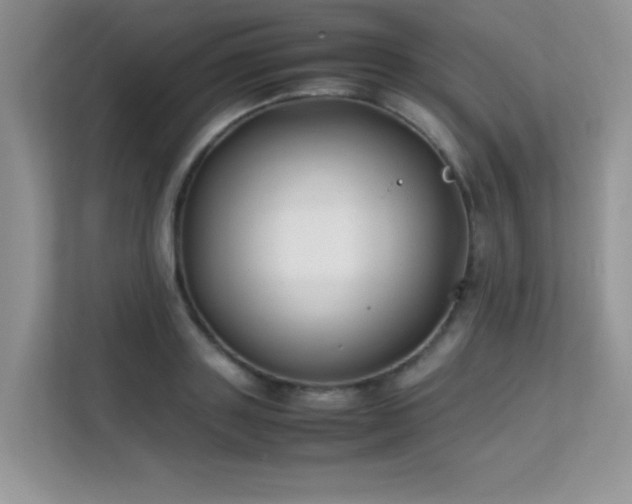 X0000112210843200908071452