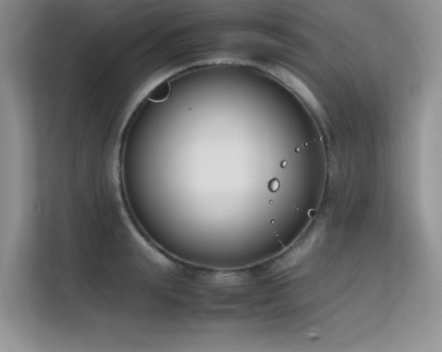 X0000112210847200908071452