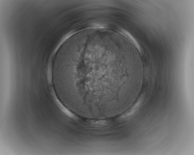X0000112210851200908071452
