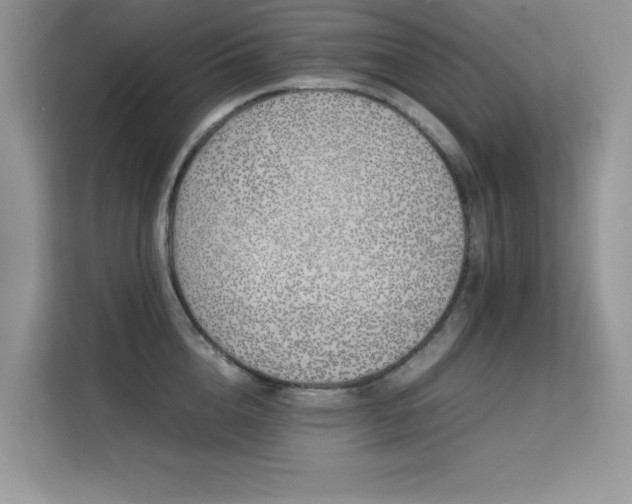 X0000112210856200908071452