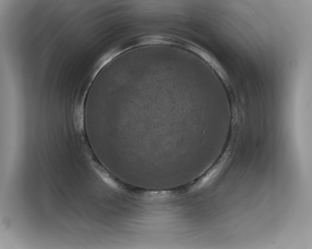 X0000112210858200908071452