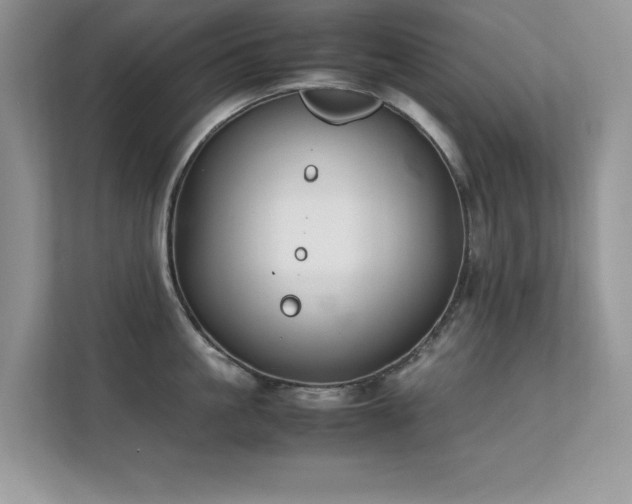 X0000112210861200908071453