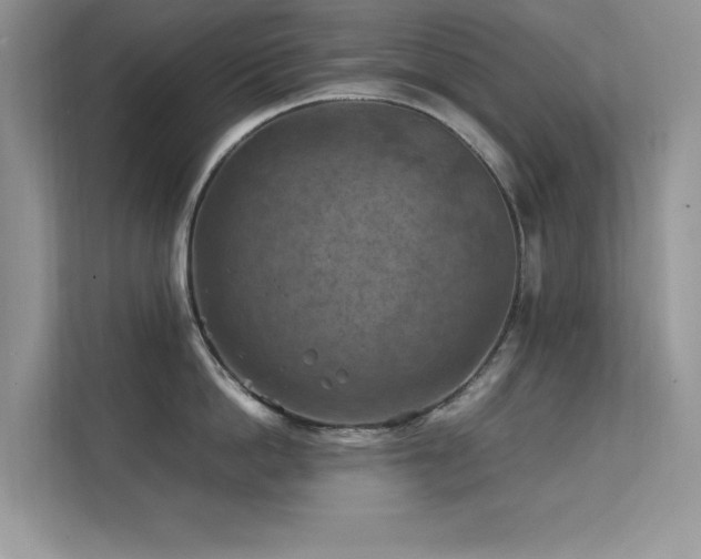 X0000112210862200908071453