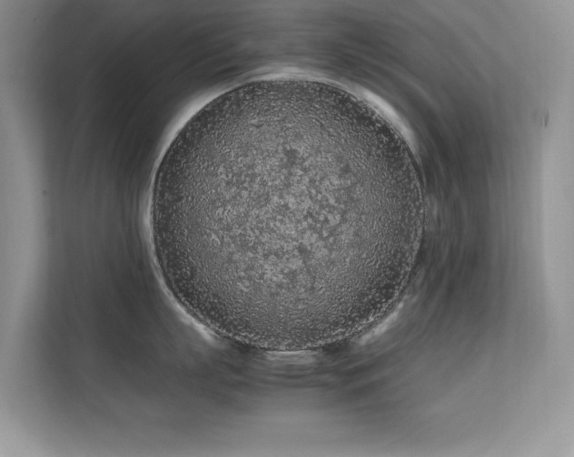 X0000112210863200908071453