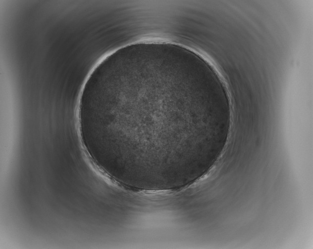 X0000112210864200908071453