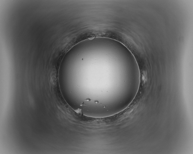 X0000112210867200908071452