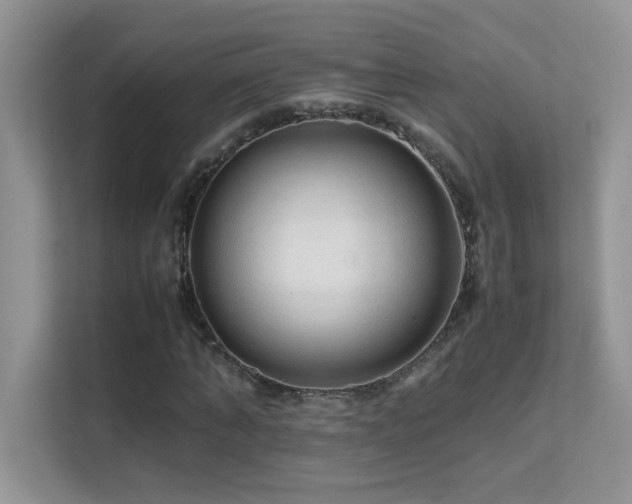 X0000112210870200908071452