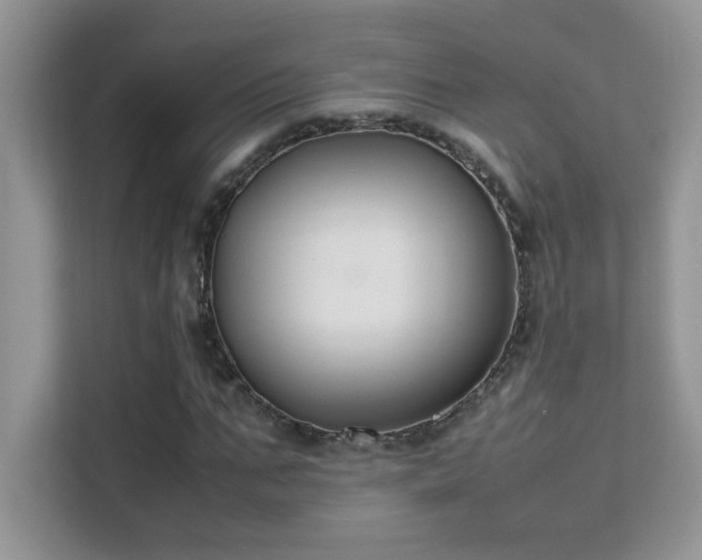 X0000112210871200908071452