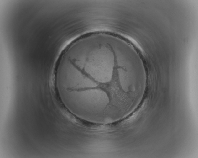 X0000112210879200908071452