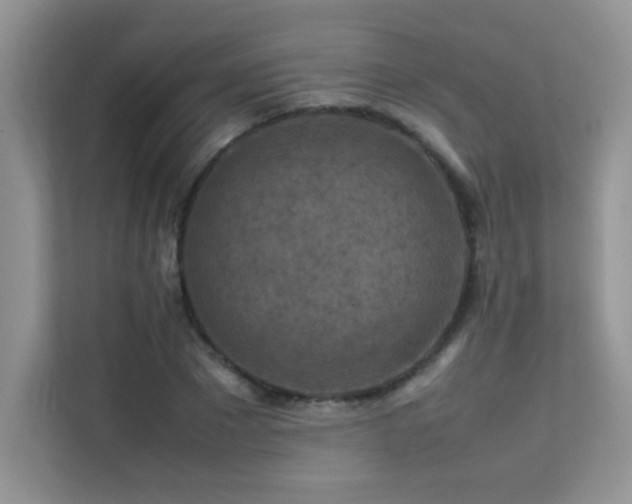 X0000112210881200908071452