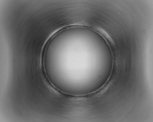 X0000112210884200908071452