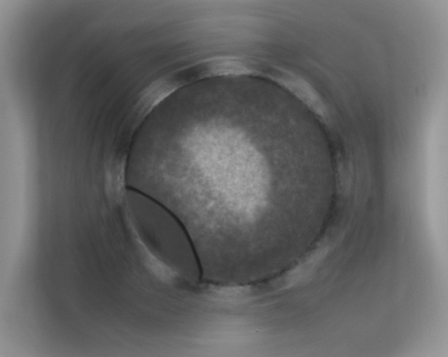 X0000112210889200908071452