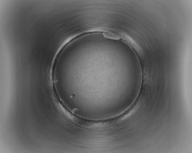 X0000112210892200908071452