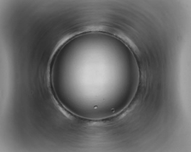 X0000112210894200908071452