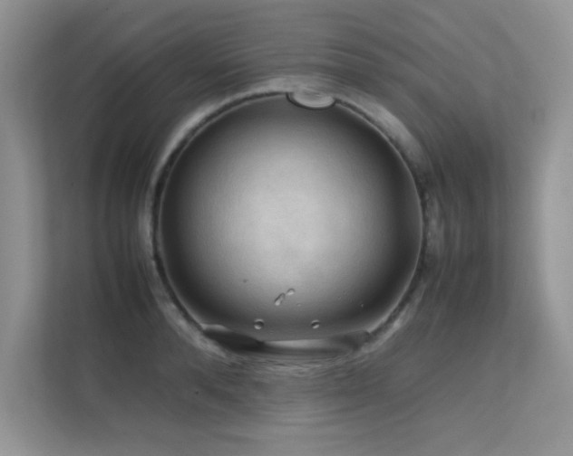 X0000112210896200908071452