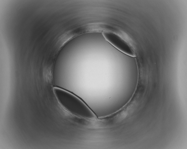 X0000112210897200908071452