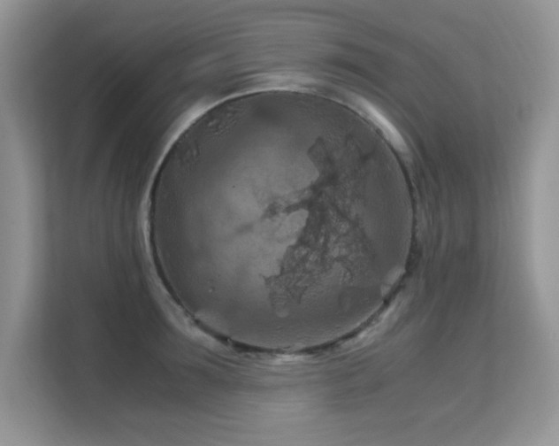 X0000112210899200908071452