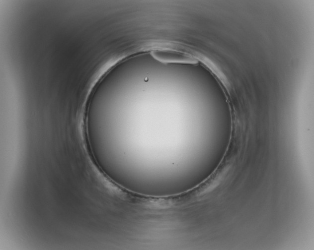 X0000112210901200908071451