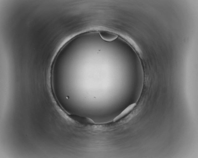 X0000112210903200908071451