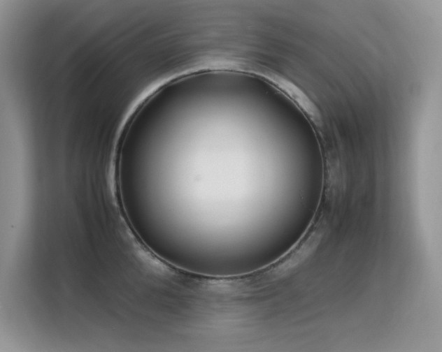 X0000112210904200908071451