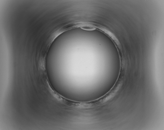 X0000112210905200908071451
