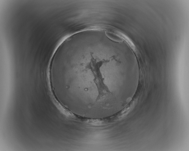 X0000112210907200908071451