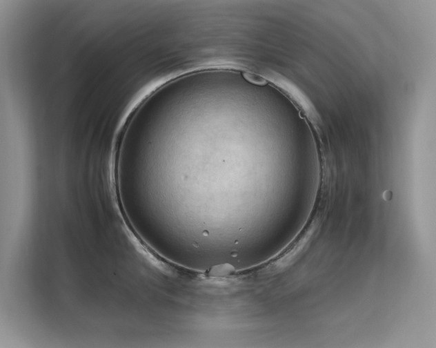 X0000112210910200908071451