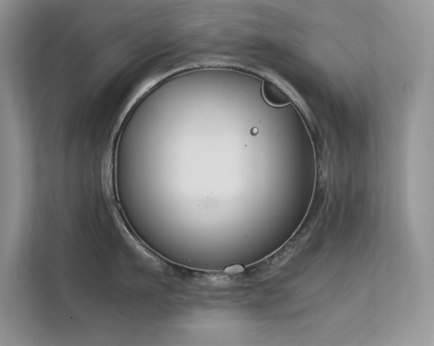 X0000112210911200908071451