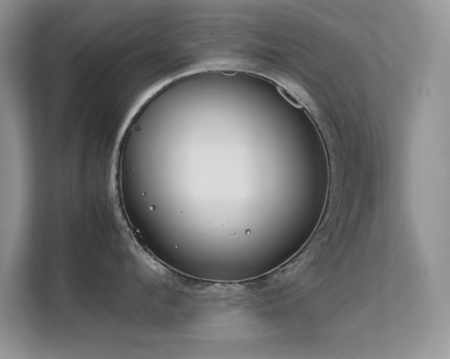 X0000112210912200908071451