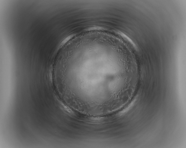 X0000112210921200908071451