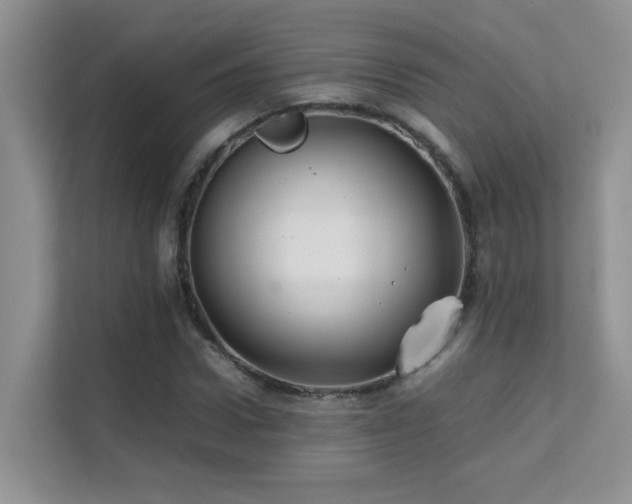 X0000112210922200908071451