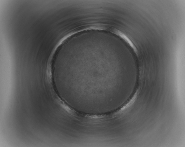 X0000112210923200908071451