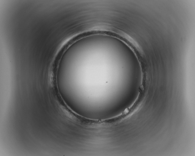 X0000112210926200908071451