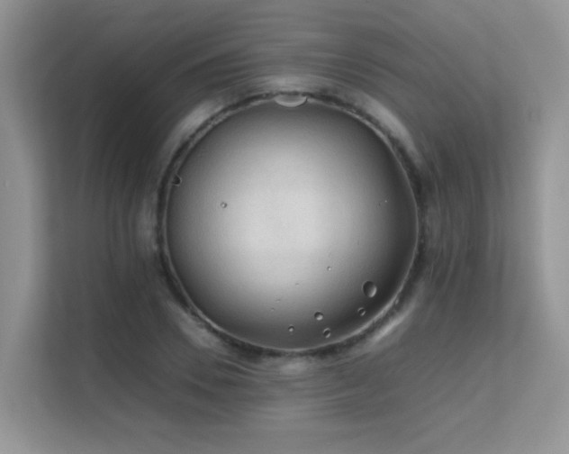 X0000112210930200908071451