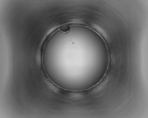 X0000112210931200908071451