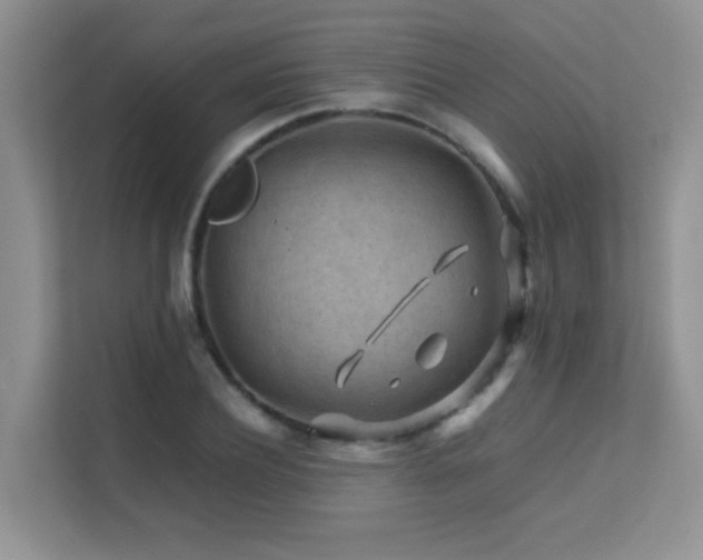 X0000112210932200908071451