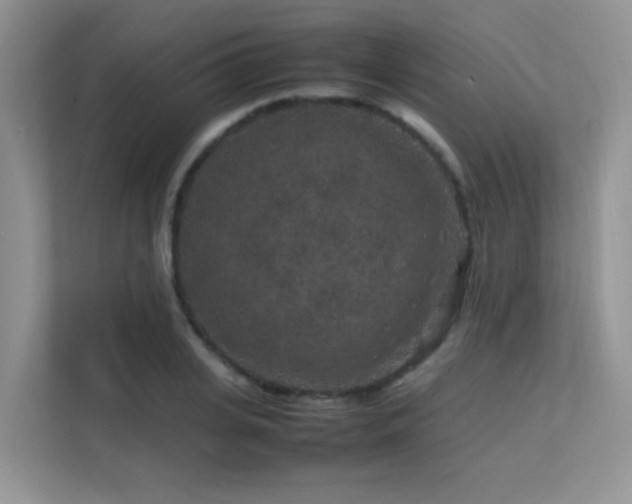 X0000112210935200908071451