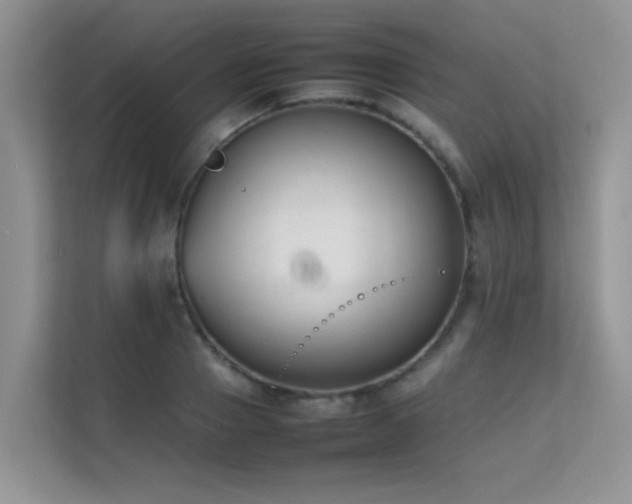 X0000112210937200908071451