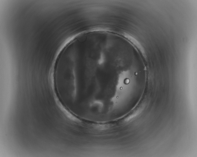 X0000112210941200908071451