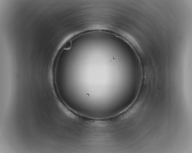 X0000112210942200908071451