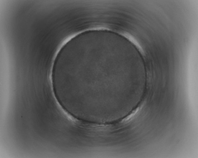X0000112210943200908071451