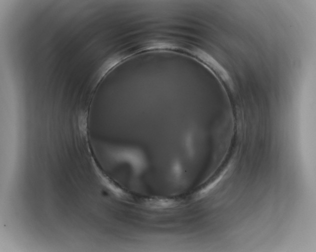 X0000112210945200908071451