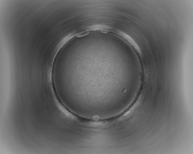 X0000112210946200908071451